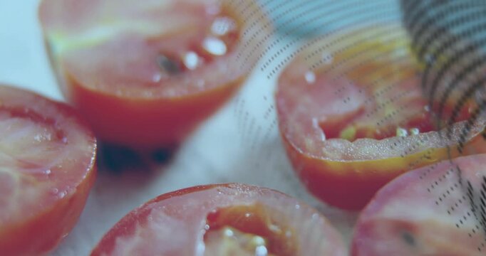 Dotted mesh drifting, causing camera shifting across tomato halves, showing seed gloss for study