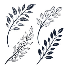 Obraz premium Elegant black and white illustration of various leaf designs Vector