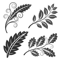 Obraz premium A collection of intricate black and white leaf designs with swirls and flourishes Vector