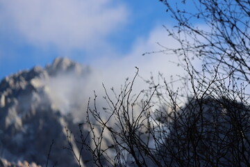 Obraz premium Morning view of artistic tree branches with background of snow-capped mountains and dramatic clouds at Jiuzhai Valley National Park in autumn, China