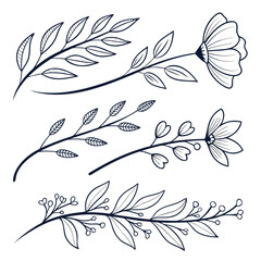 Obraz premium Delicate line drawings of various leaves and flowers in a natural setting. Vector