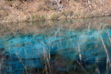 Trees on the shore are reflected in the crystal-clear Five-color Lake (Wucaichi) with tree trunks and stones at bottom in autumn, Jiuzhai Valley National Park, China