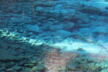 Obraz premium Trees on the shore were reflected in the crystal-clear water gently rippling under the sunlight at Five-color Lake (Wucaichi) with stones at bottom in autumn, Jiuzhai Valley National Park, China