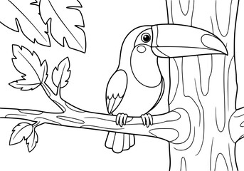 Obraz premium Simple cartoon in black and white. cute toucan bird on Branch. in rainforest. ideal for children's coloring books.