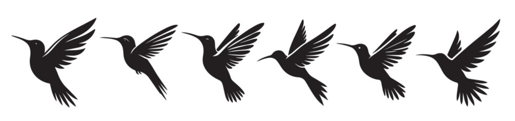 Fototapeta premium hummingbird black solid silhouette bundle isolated on white