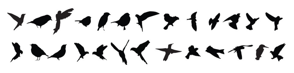 flying birds silhouettes on white background vector 
