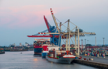 Naklejka premium Kräne im Hamburger Container Hafen 