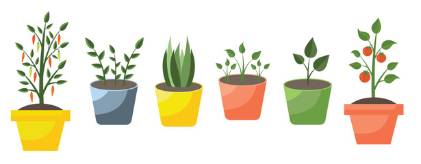 collection of different plants flowerpots greenery a set  © Bilw