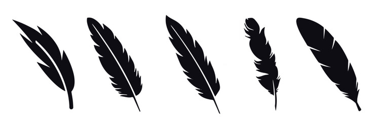 feather vector design © Bilw