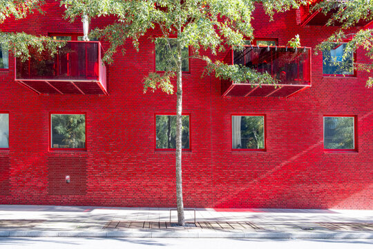 Urban minimal architecture building with red facade wall and square windows as a tree casts shadow creating bold contrast in bright daylight