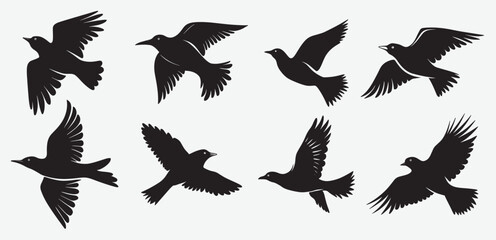 Obraz premium Birds Silhouette Vector Collection Hand drawn