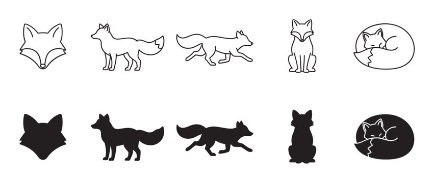 Collection of black fox icons showing various poses like standing, running, sitting, and sleeping, presented in both minimalist outline and solid silhouette styles for graphic design