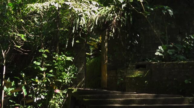 Exploring Castillo de Edward James in Xilitla, San Luis Potosi, Mexico with steps and green plants