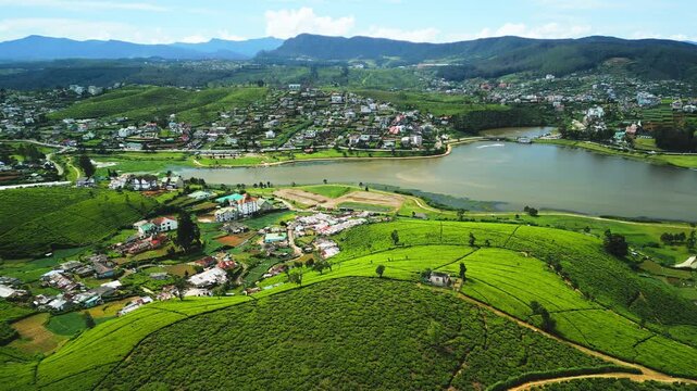 Drone View Of Sri Lankan Tea Fields Stretching Toward Lake Gregory Town
