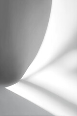 Abstract grayscale depiction featuring fluid shapes and voids, suggesting depth and form