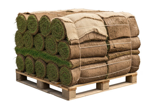 A stack of rolled green grass on a wooden pallet on a transparent background