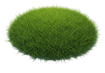An oval shaped green grass clump isolated on transparent background for gardening or decoration always