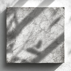 Square, textured surface with cracks, shadowed by foliage against a grey background