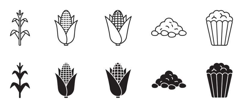 Collection of corn life cycle icons showing the plant, cob, kernels, and popcorn snack, presented in both a simple black outline style and a solid glyph version
