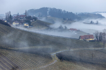 Ground fog in the southern Styrian wine country in winter