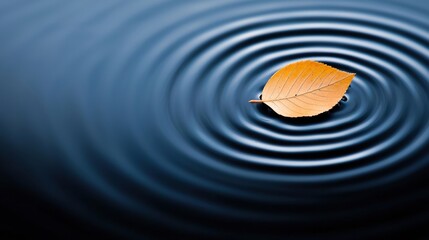 A single orange leaf floats on a dark blue body of water, creating concentric circles.
