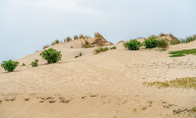 Hourtin-Plage in France
