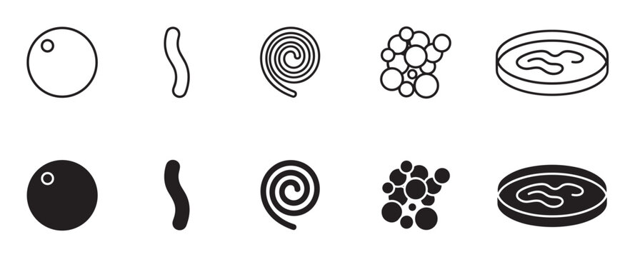 Bacteria shapes and forms icon set showing different types of microorganisms like coccus, bacillus, and spirillum in a petri dish, presented in line art and solid glyph styles