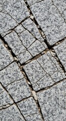 Obraz premium Close-up of cracked stone surface.