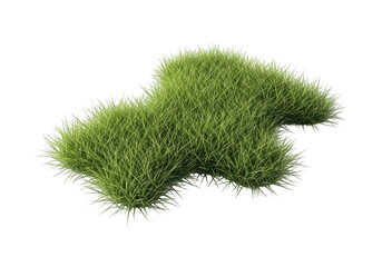A clump of green grass isolated on transparent background for nature concepts