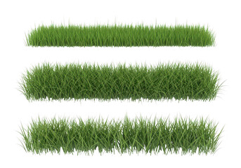Three strips of green grass isolated on transparent background for design and decoration purposes