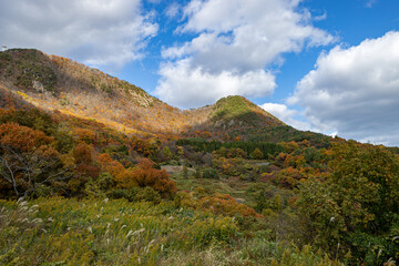佐渡の紅葉山公園