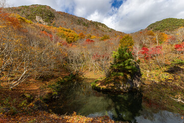 佐渡の紅葉山公園