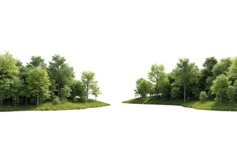 A pathway between two lush green forest sections on transparent background