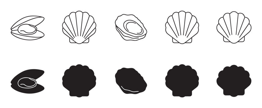 Graphic collection of black seashell icons including scallop, oyster, and clam designs presented in two distinct styles, line art and solid silhouette