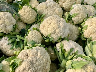 Fresh white cauliflower with green leaves displayed naturally in a garden and local market setting, highlighting organic vegetables and healthy nutrition