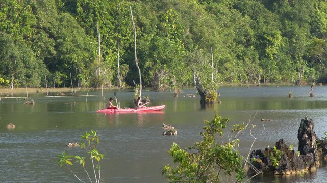 Tourists Kayaking Through Klong Root Clear Water Canal in Krabi Thailand