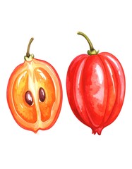 Obraz premium Watercolor illustration of a red fruit, one whole and one cut in half