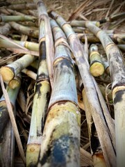 An sugarcane abstract wall texture of old wooden fence boards and rusty metal pipes blends natural brown cane patterns with industrial detail
