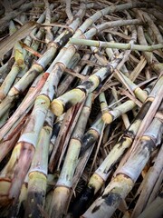 Sugarcane Old wooden fence with weathered wood texture and rusty metal details
