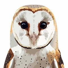 Realistic Barn Owl Portrait Illustration