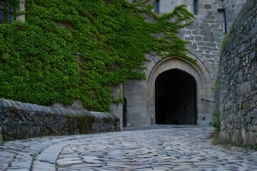 Fototapeta premium Ancient stone archway overgrown with lush green ivy leads to a mysterious passageway