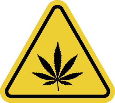 Marijuana. Yellow warning triangle with a marijuana leaf inside. Danger or prohibition related to narcotics. Drugs and their consequences.