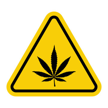 Marijuana. Yellow warning triangle with a marijuana leaf inside. Danger or prohibition related to narcotics. Drugs and their consequences.