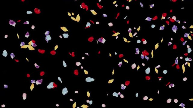 Colorful Flower Petals Falling on Transparent Background(1) (Alpha Channel)色とりどりの花びらが舞い散るアルファチャンネル付き背景素材
