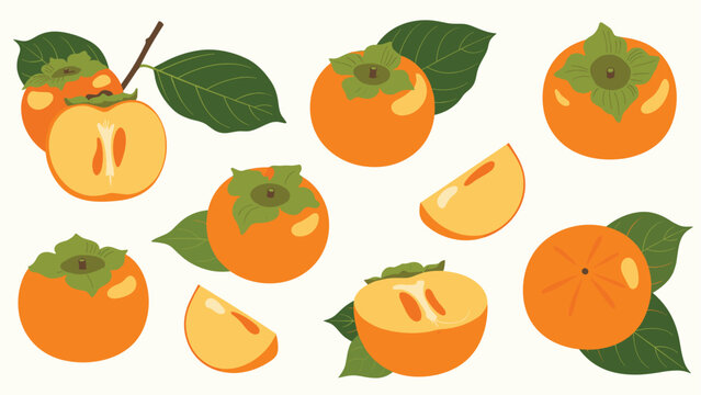 Multiple illustrations of whole and sliced orange persimmons with green leaves arranged on a light cream background.