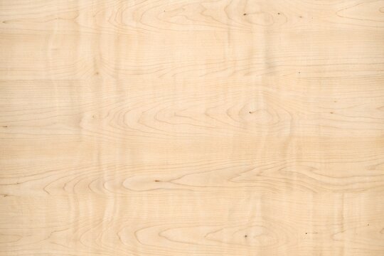 premium natural light birch wood grain texture background