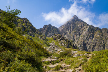 Naklejka premium A rugged stone footpath ascends through lush green vegetation toward a jagged mountain summit in the Pyrenees, with sunlight illuminating rocky textures and wisps of cloud overhead.