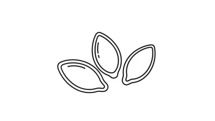 Fototapeta premium Simple black and white line drawing depicts three seeds from a pumpkin or squash arranged in a group on white.