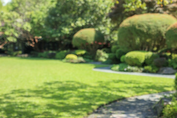 Fototapeta premium Abstract blur green park garden for background