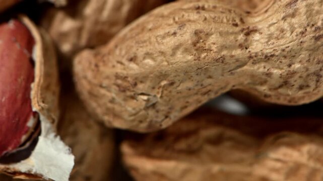 Warm, roasted peanuts in their brown shells spin and tumble on a sunlit rustic wooden table. The motion is gentle, highlighting the natural, organic forms and the textured surface of both the wood and